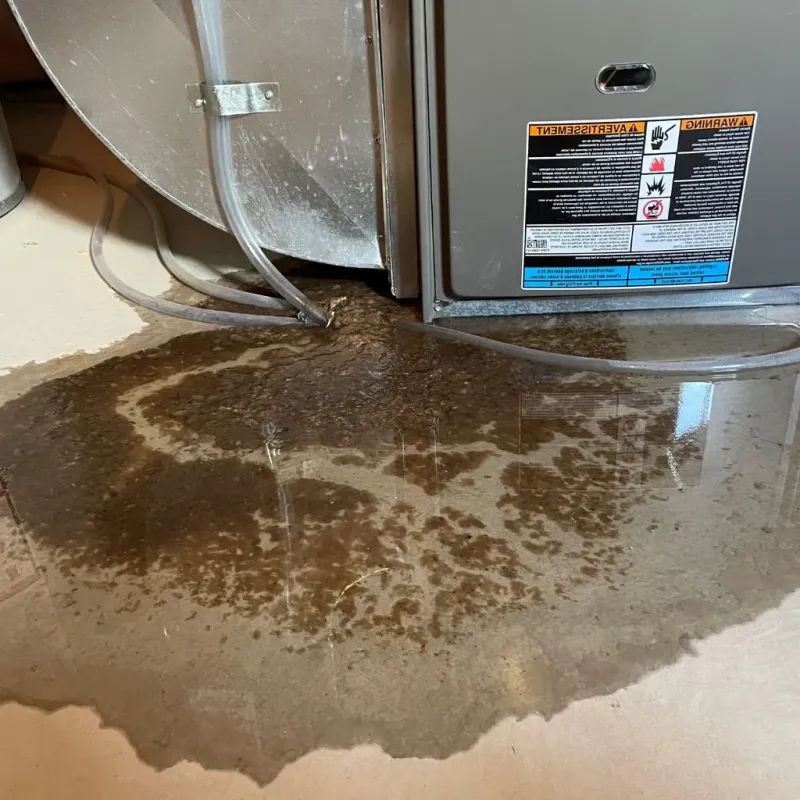 Pipe Burst and Leak Restoration in North Royalton, OH